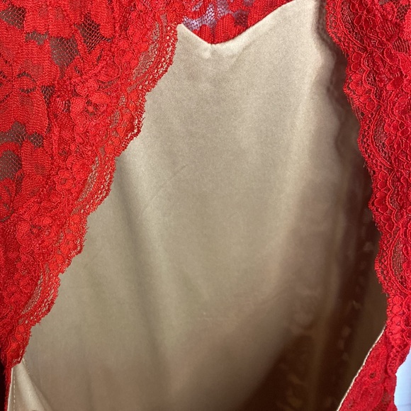 Express Red Lacy Dress - Picture 8 of 10